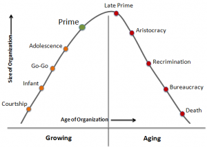 Corporate Life Cycle